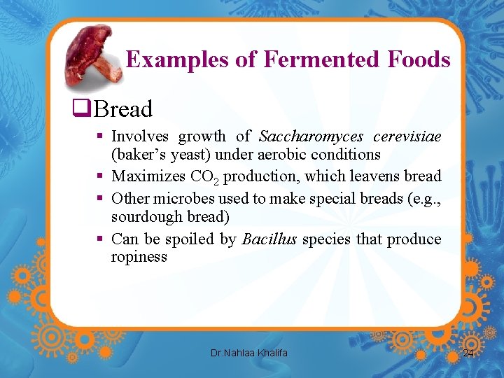 Examples of Fermented Foods q. Bread § Involves growth of Saccharomyces cerevisiae (baker’s yeast)