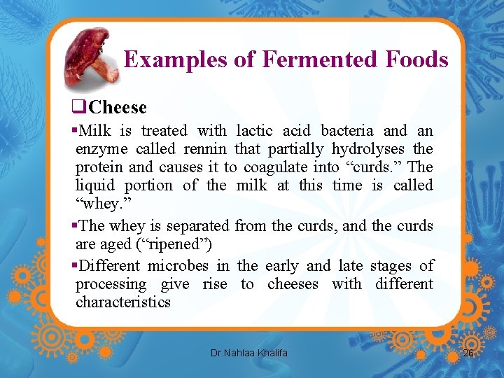 Examples of Fermented Foods q. Cheese §Milk is treated with lactic acid bacteria and