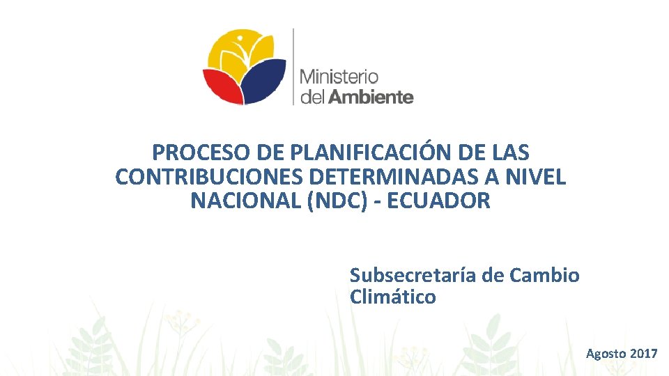 PROCESO DE PLANIFICACIÓN DE LAS CONTRIBUCIONES DETERMINADAS A NIVEL NACIONAL (NDC) - ECUADOR Subsecretaría