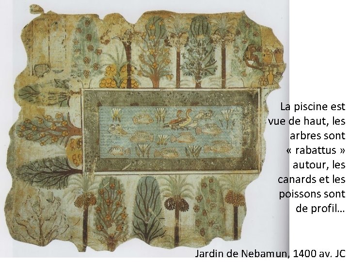 La piscine est vue de haut, les arbres sont « rabattus » autour, les La piscine est vue de haut, les arbres sont « rabattus » autour, les
