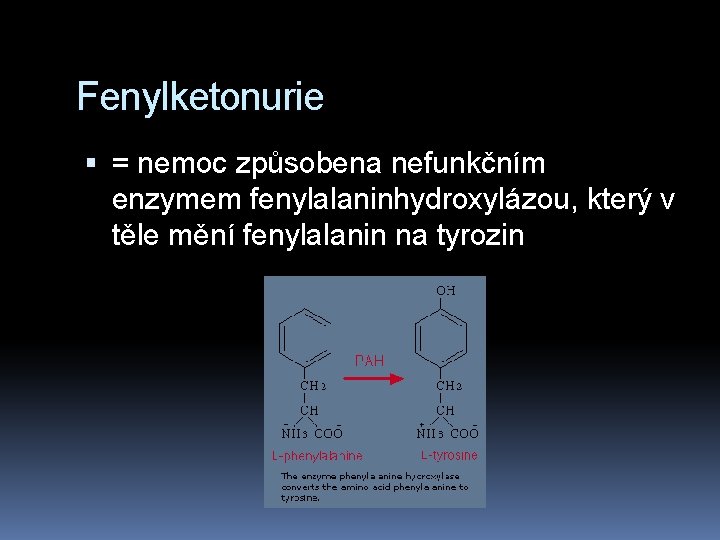Fenylketonurie = nemoc způsobena nefunkčním enzymem fenylalaninhydroxylázou, který v těle mění fenylalanin na tyrozin