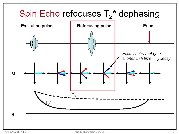 Spin Echo refocuses T 2* dephasing Excitation pulse Refocusing pulse Echo Each isochromat gets