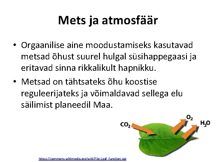 Mets ja atmosfäär • Orgaanilise aine moodustamiseks kasutavad metsad õhust suurel hulgal süsihappegaasi ja