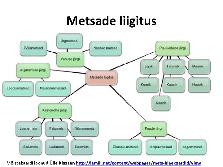 Metsade liigitus Mõistekaardi loonud Ülle Klaasen http: //lemill. net/content/webpages/mets-ideekaardid/view 