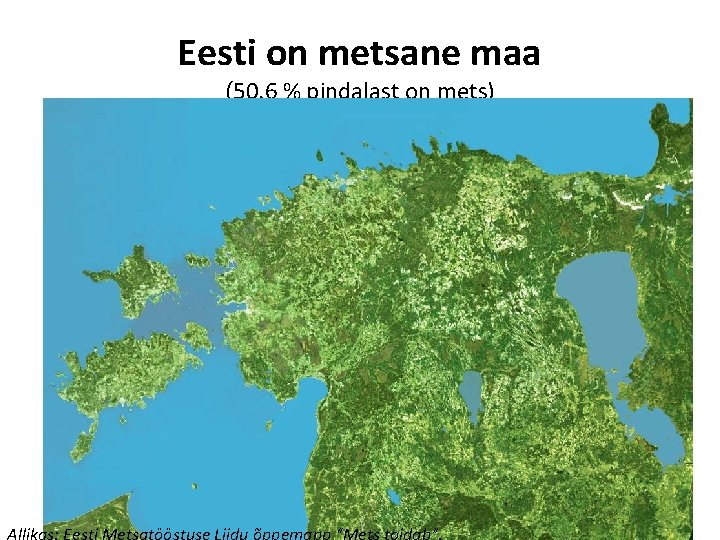 Eesti on metsane maa (50, 6 % pindalast on mets) Allikas: Eesti Metsatööstuse Liidu