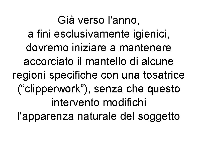 Già verso l'anno, a fini esclusivamente igienici, dovremo iniziare a mantenere accorciato il mantello