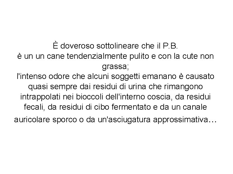 È doveroso sottolineare che il P. B. è un un cane tendenzialmente pulito e