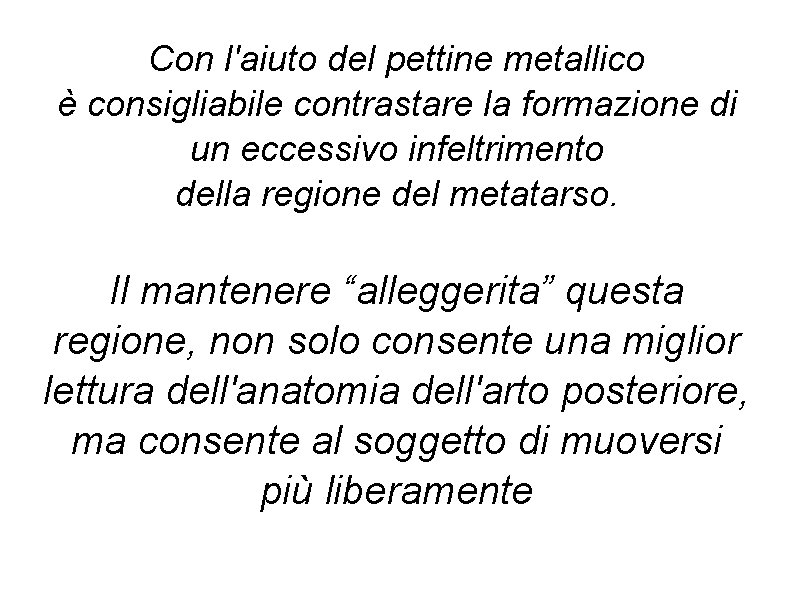 Con l'aiuto del pettine metallico è consigliabile contrastare la formazione di un eccessivo infeltrimento