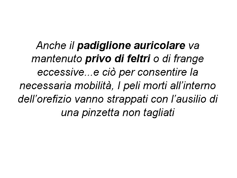 Anche il padiglione auricolare va mantenuto privo di feltri o di frange eccessive. .