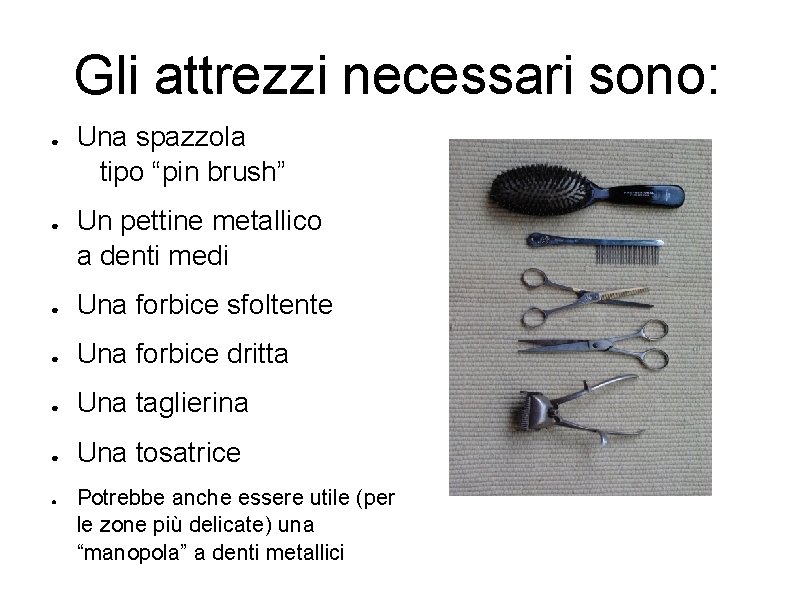 Gli attrezzi necessari sono: ● ● Una spazzola tipo “pin brush” Un pettine metallico