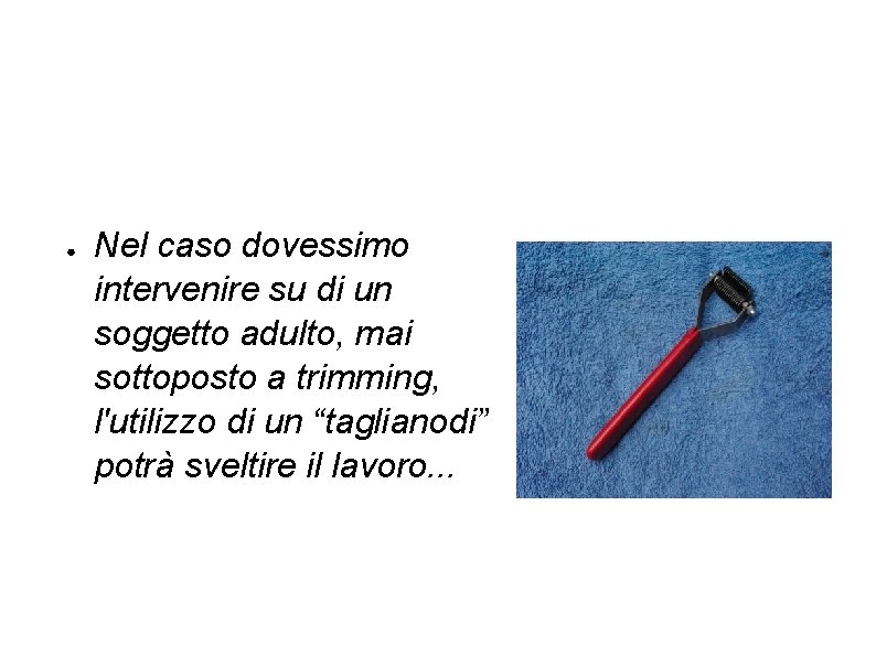 ● Nel caso dovessimo intervenire su di un soggetto adulto, mai sottoposto a trimming,