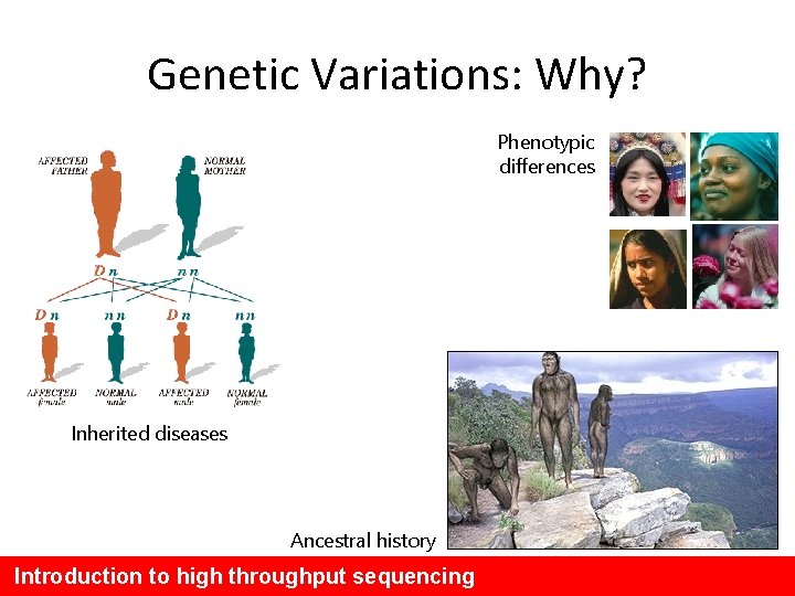 Genetic Variations: Why? Phenotypic differences Inherited diseases Ancestral history Introduction to high throughput sequencing