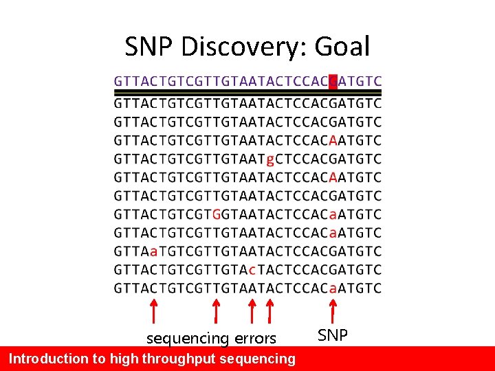 SNP Discovery: Goal sequencing errors Introduction to high throughput sequencing SNP 