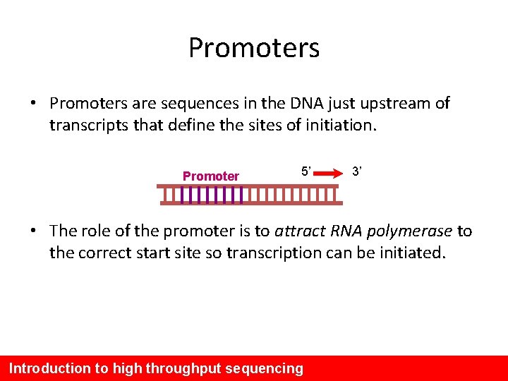 Promoters • Promoters are sequences in the DNA just upstream of transcripts that define