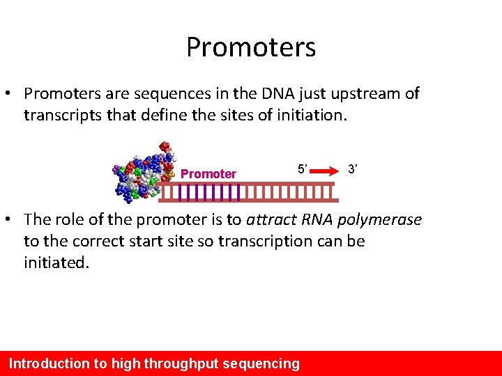 Promoters • Promoters are sequences in the DNA just upstream of transcripts that define
