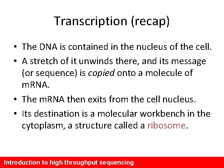 Transcription (recap) • The DNA is contained in the nucleus of the cell. •