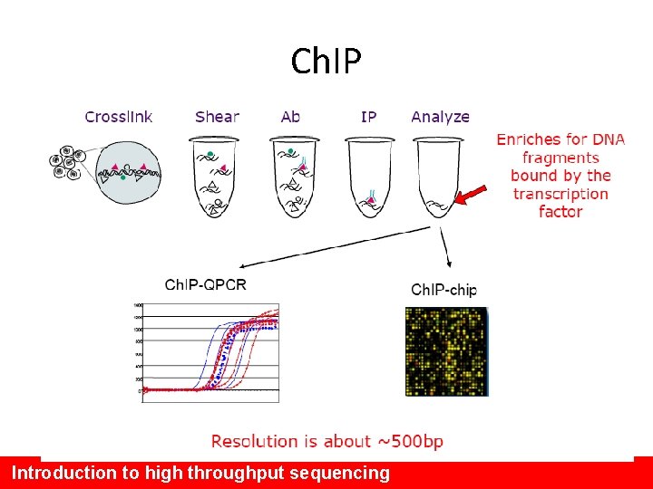 Ch. IP Introduction to high throughput sequencing 