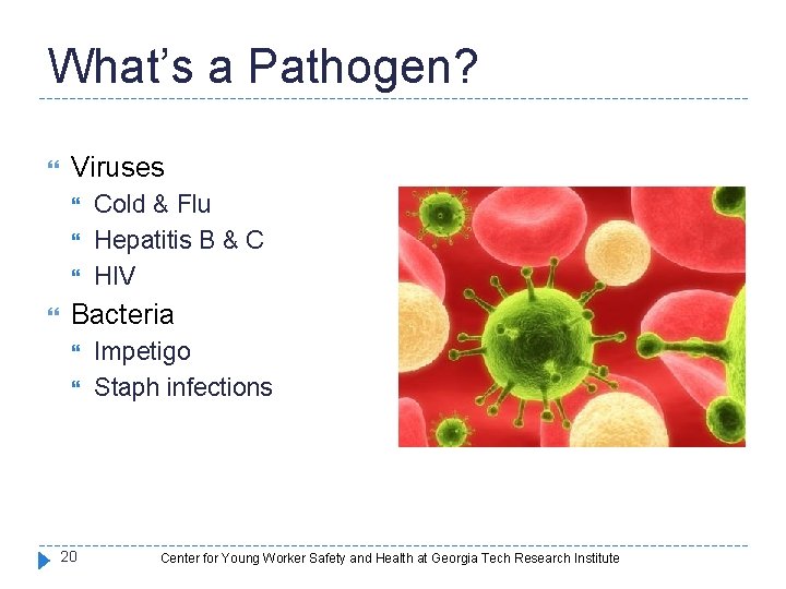 What’s a Pathogen? Viruses Cold & Flu Hepatitis B & C HIV Bacteria 20