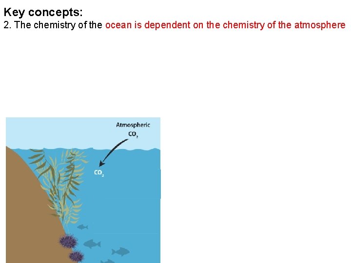 Key concepts: 2. The chemistry of the ocean is dependent on the chemistry of