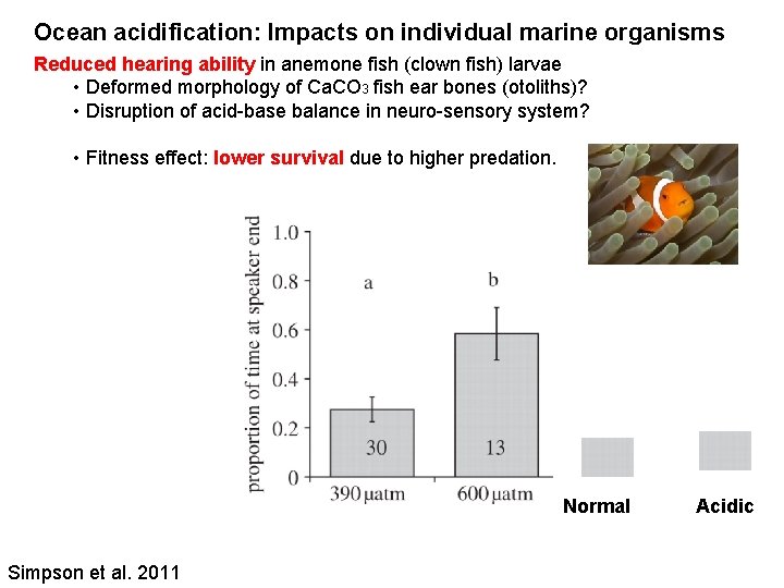 Ocean acidification: Impacts on individual marine organisms Reduced hearing ability in anemone fish (clown