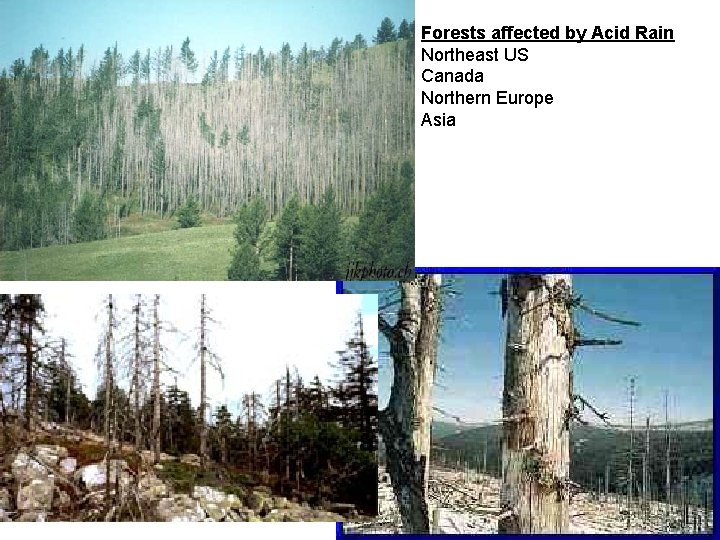 Forests affected by Acid Rain Northeast US Canada Northern Europe Asia 