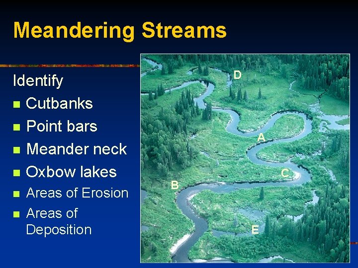 Meandering Streams Identify n Cutbanks n Point bars n Meander neck n Oxbow lakes