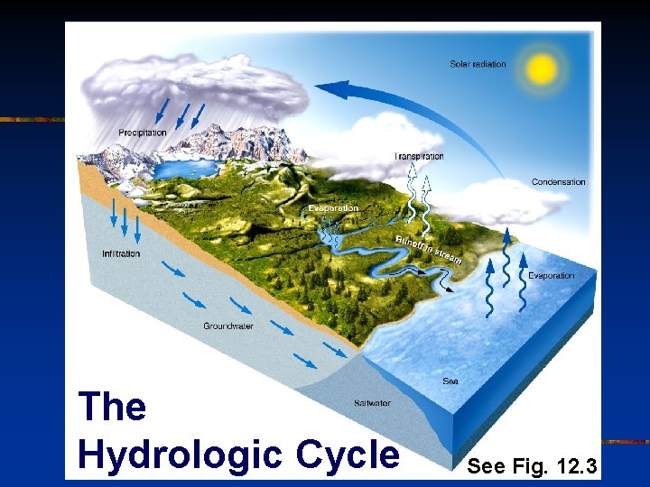The Hydrologic Cycle See Fig. 12. 3 