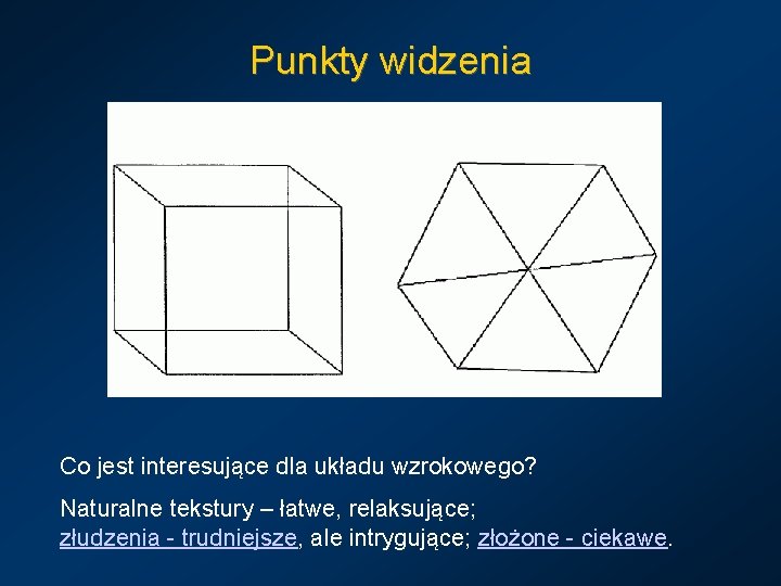 Punkty widzenia Co jest interesujące dla układu wzrokowego? Naturalne tekstury – łatwe, relaksujące; złudzenia