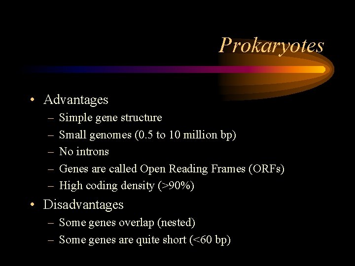 Prokaryotes • Advantages – – – Simple gene structure Small genomes (0. 5 to