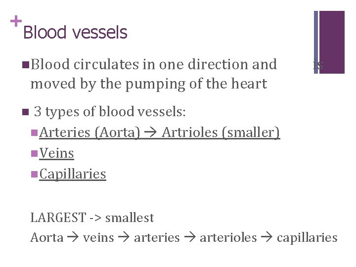 + Blood vessels n. Blood circulates in one direction and is moved by the