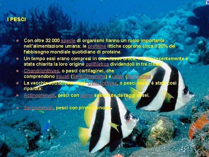 I PESCI l Con oltre 32 000 specie di organismi hanno un ruolo importante