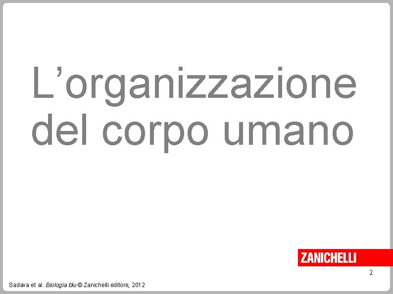 L’organizzazione del corpo umano 2 Sadava et al. Biologia. blu © Zanichelli editore, 2012