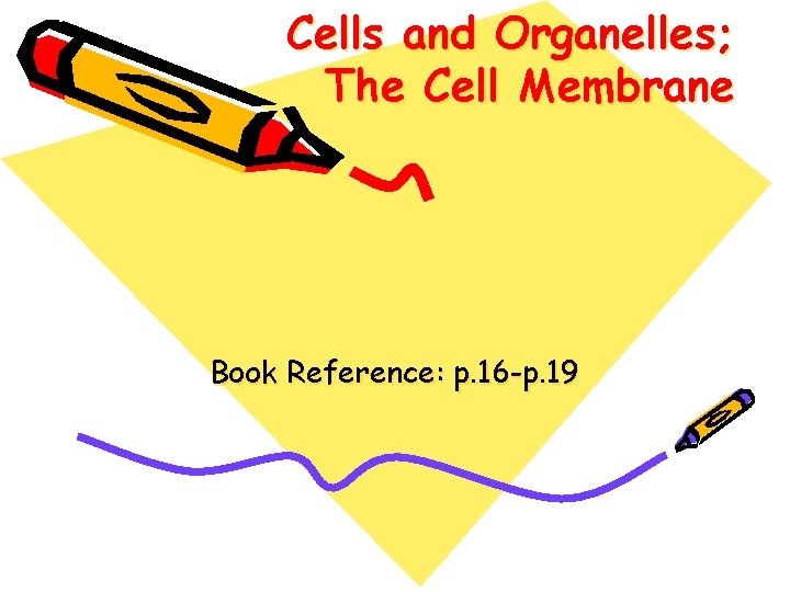 Cells and Organelles; The Cell Membrane Book Reference: p. 16 -p. 19 