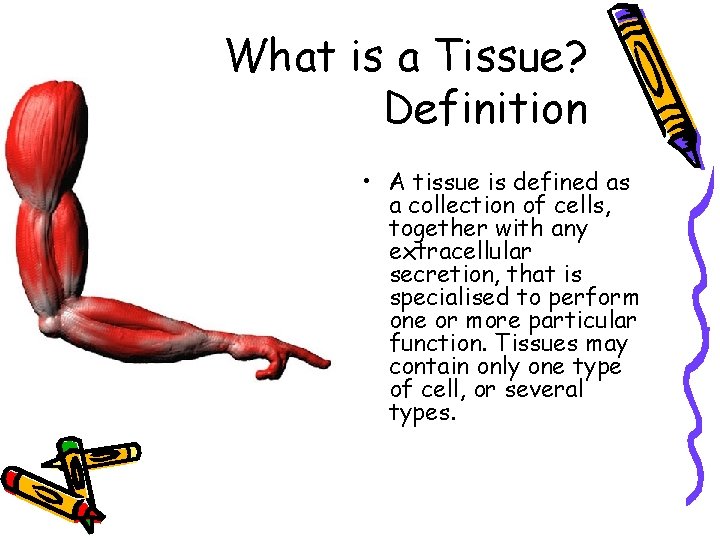 What is a Tissue? Definition • A tissue is defined as a collection of