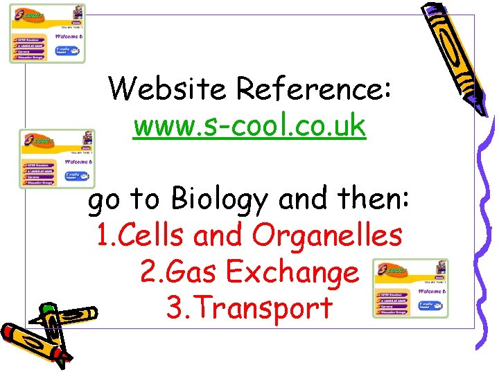 Website Reference: www. s-cool. co. uk go to Biology and then: 1. Cells and