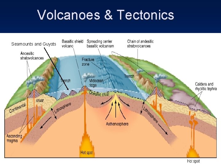 Volcanoes & Tectonics Seamounts and Guyots 