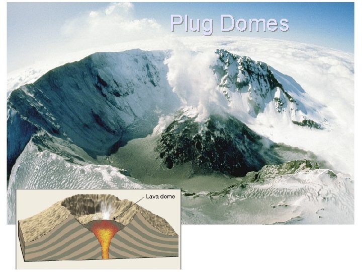 Plug Domes 