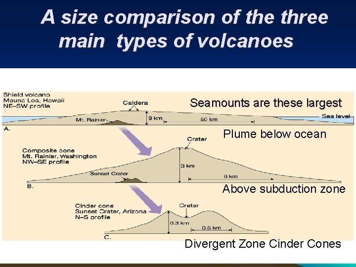 A size comparison of the three main types of volcanoes Seamounts are these largest