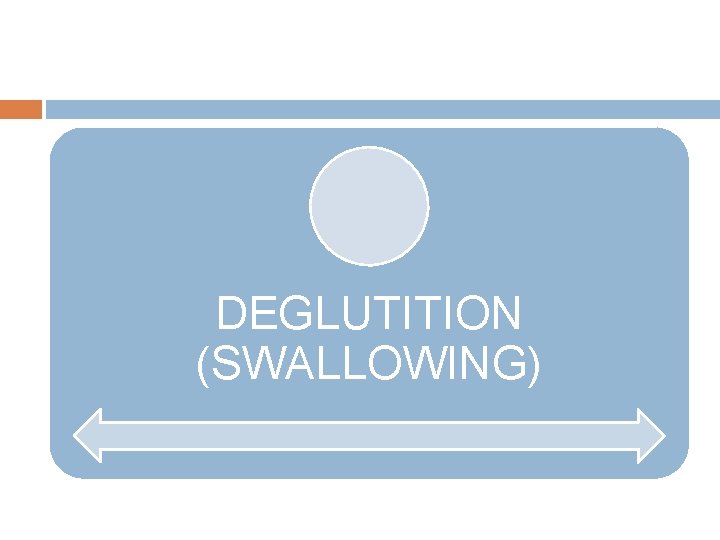 DEGLUTITION (SWALLOWING) 