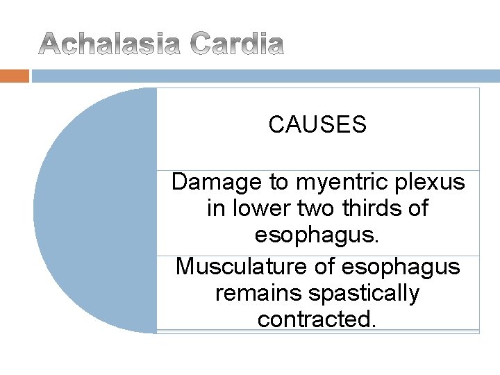 CAUSES Damage to myentric plexus in lower two thirds of esophagus. Musculature of esophagus