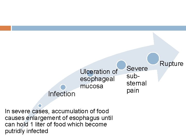 Infection Ulceration of esophageal mucosa In severe cases, accumulation of food causes enlargement of