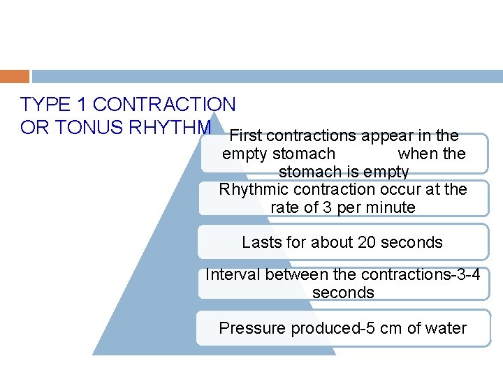 TYPE 1 CONTRACTION OR TONUS RHYTHM First contractions appear in the empty stomach when