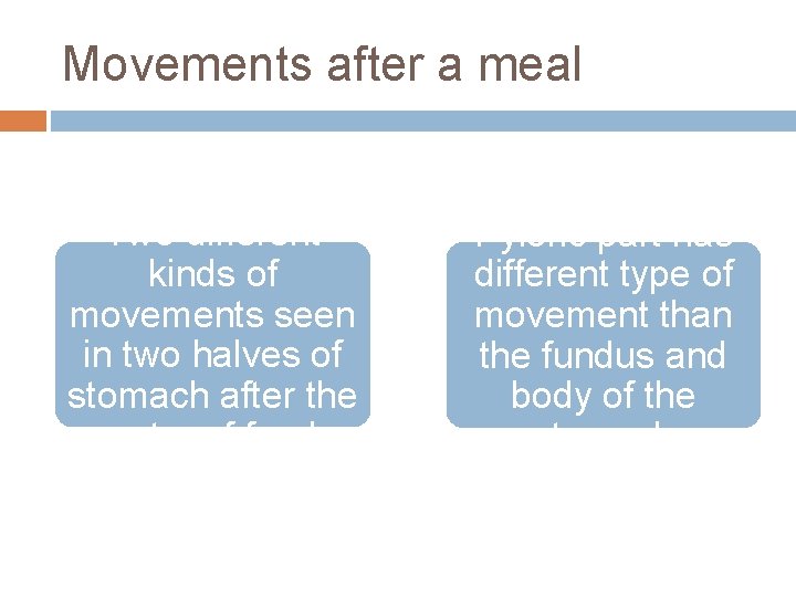 Movements after a meal Two different kinds of movements seen in two halves of