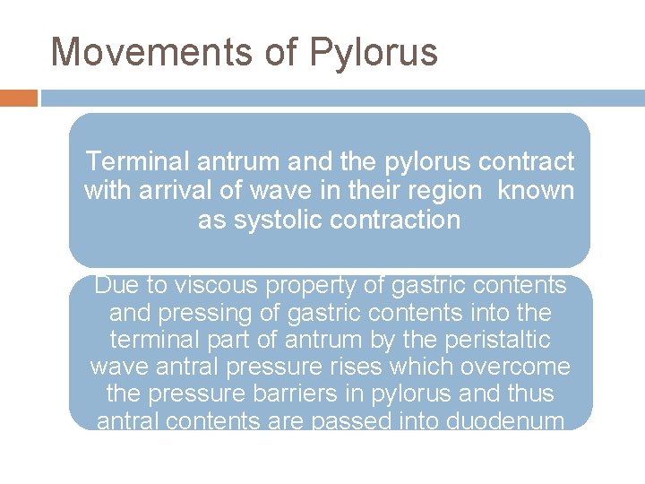 Movements of Pylorus Terminal antrum and the pylorus contract with arrival of wave in