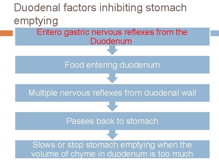 Duodenal factors inhibiting stomach emptying Entero gastric nervous reflexes from the Duodenum: Food entering