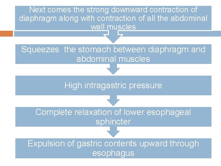 Next comes the strong downward contraction of diaphragm along with contraction of all the