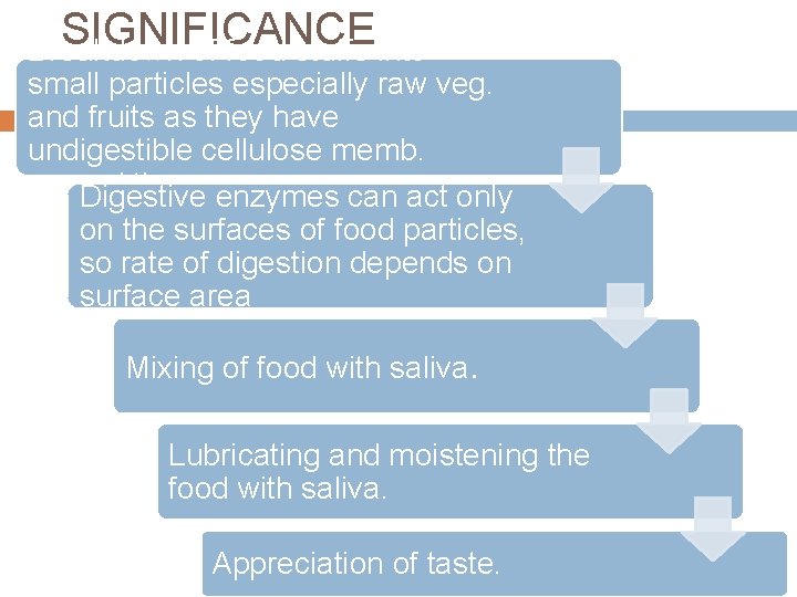 SIGNIFICANCE Breakdown of food stuffs into small particles especially raw veg. and fruits as