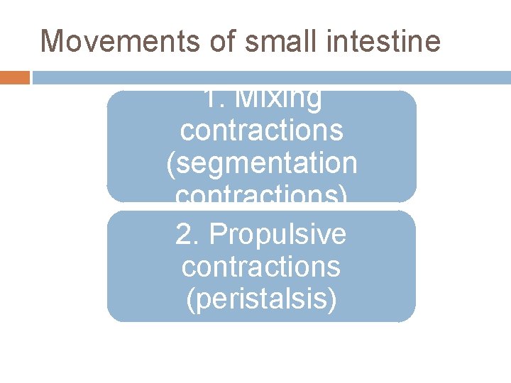 Movements of small intestine 1. Mixing contractions (segmentation contractions) 2. Propulsive contractions (peristalsis) 
