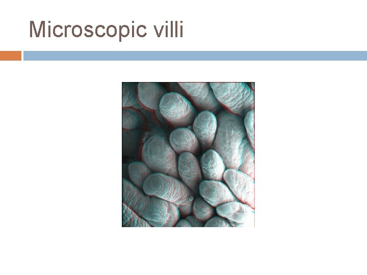 Microscopic villi 