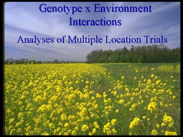 Genotype x Environment Interactions Analyses of Multiple Location Trials 